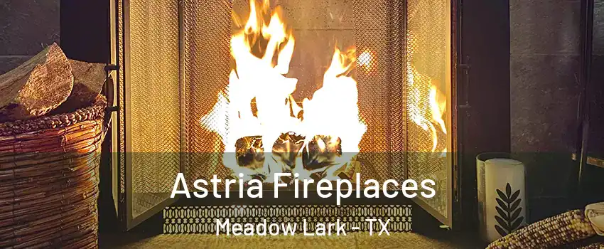 Astria Fireplaces Meadow Lark - TX