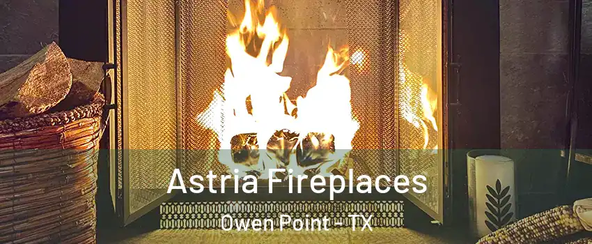 Astria Fireplaces Owen Point - TX