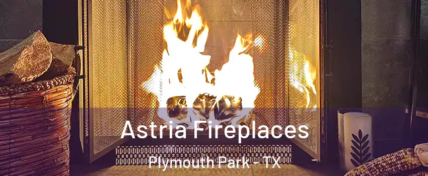 Astria Fireplaces Plymouth Park - TX