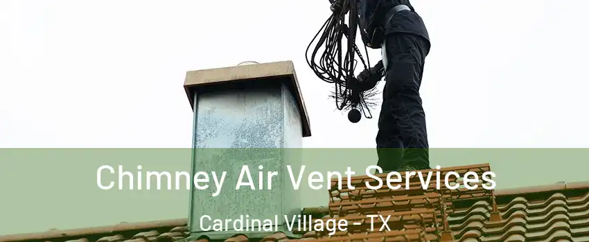 Chimney Air Vent Services Cardinal Village - TX