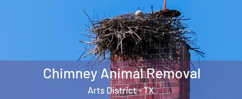 Chimney Animal Removal Arts District - TX