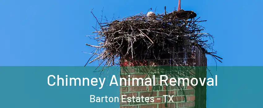Chimney Animal Removal Barton Estates - TX