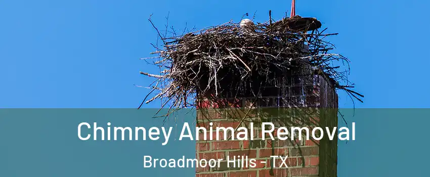 Chimney Animal Removal Broadmoor Hills - TX