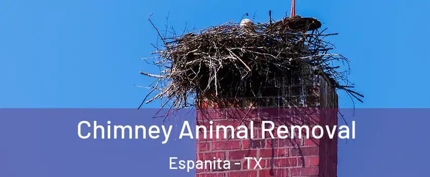 Chimney Animal Removal Espanita - TX