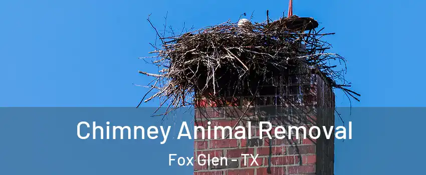 Chimney Animal Removal Fox Glen - TX