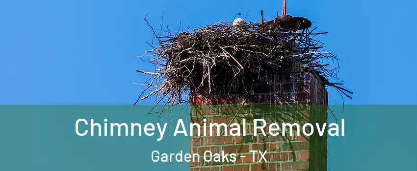 Chimney Animal Removal Garden Oaks - TX