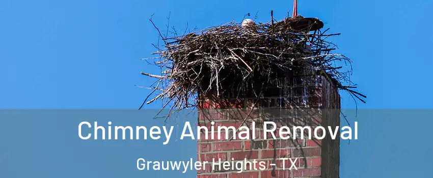 Chimney Animal Removal Grauwyler Heights - TX