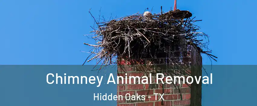 Chimney Animal Removal Hidden Oaks - TX
