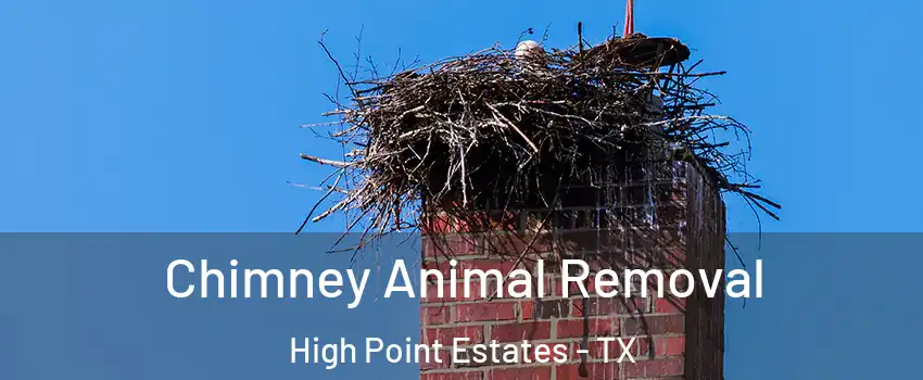 Chimney Animal Removal High Point Estates - TX