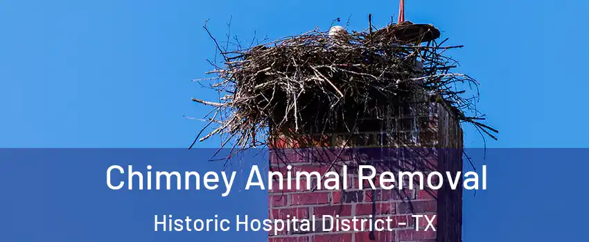 Chimney Animal Removal Historic Hospital District - TX