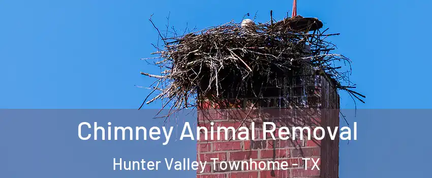 Chimney Animal Removal Hunter Valley Townhome - TX