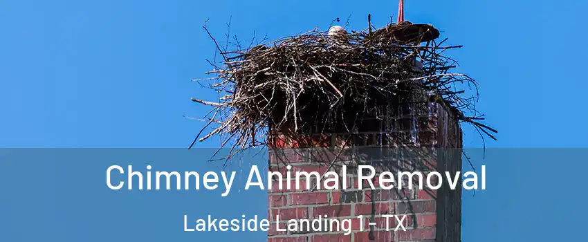Chimney Animal Removal Lakeside Landing 1 - TX