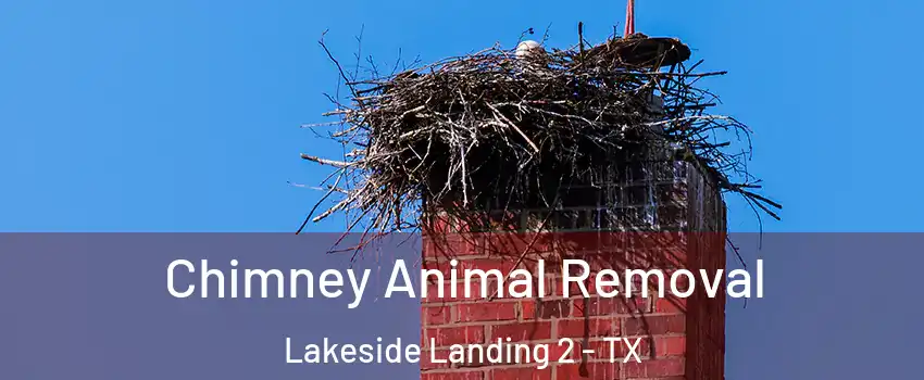 Chimney Animal Removal Lakeside Landing 2 - TX