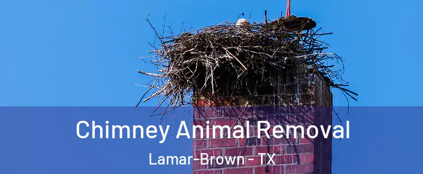 Chimney Animal Removal Lamar-Brown - TX