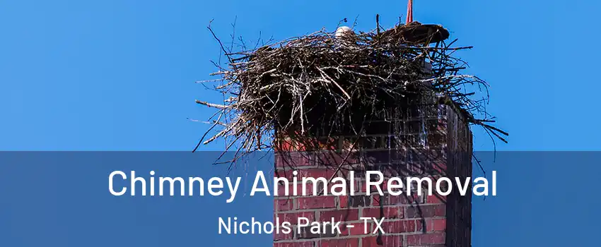 Chimney Animal Removal Nichols Park - TX