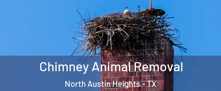Chimney Animal Removal North Austin Heights - TX