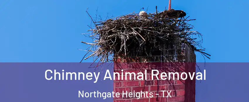 Chimney Animal Removal Northgate Heights - TX