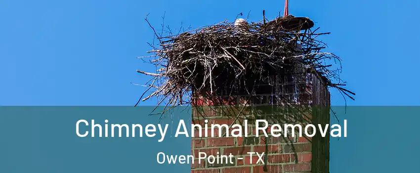 Chimney Animal Removal Owen Point - TX