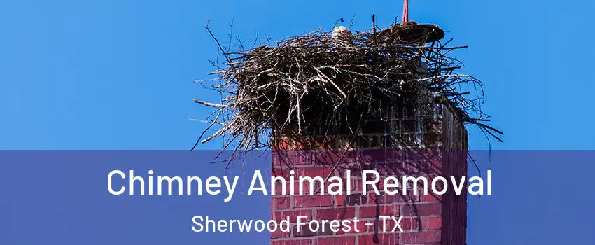 Chimney Animal Removal Sherwood Forest - TX