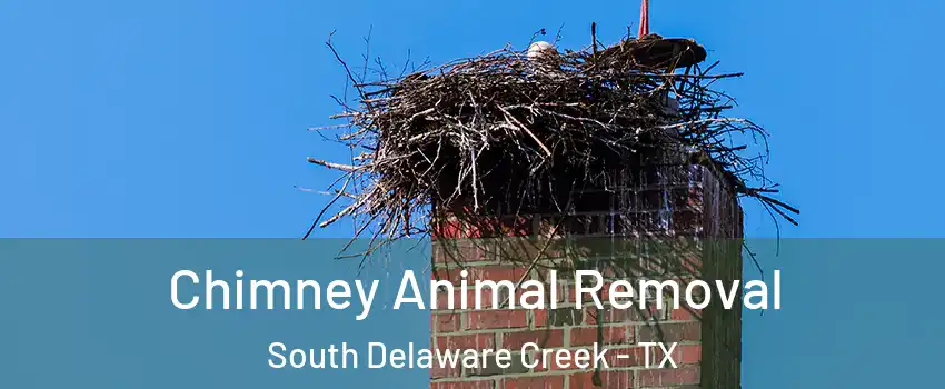 Chimney Animal Removal South Delaware Creek - TX