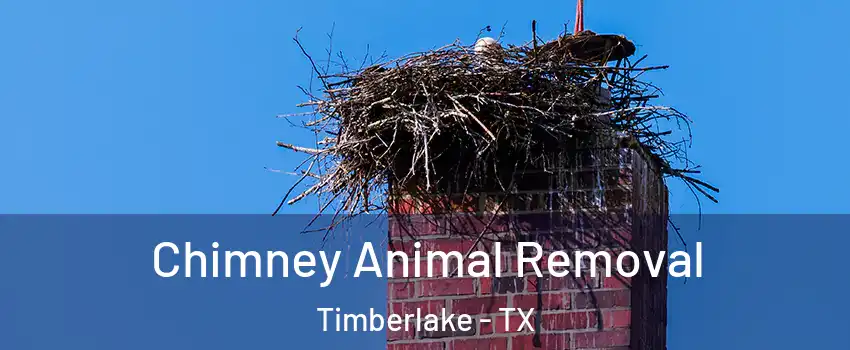 Chimney Animal Removal Timberlake - TX