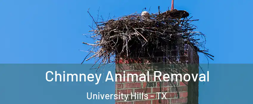 Chimney Animal Removal University Hills - TX