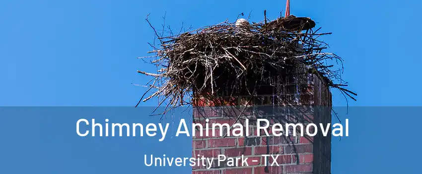 Chimney Animal Removal University Park - TX