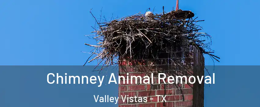 Chimney Animal Removal Valley Vistas - TX