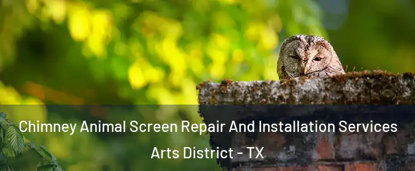 Chimney Animal Screen Repair And Installation Services Arts District - TX