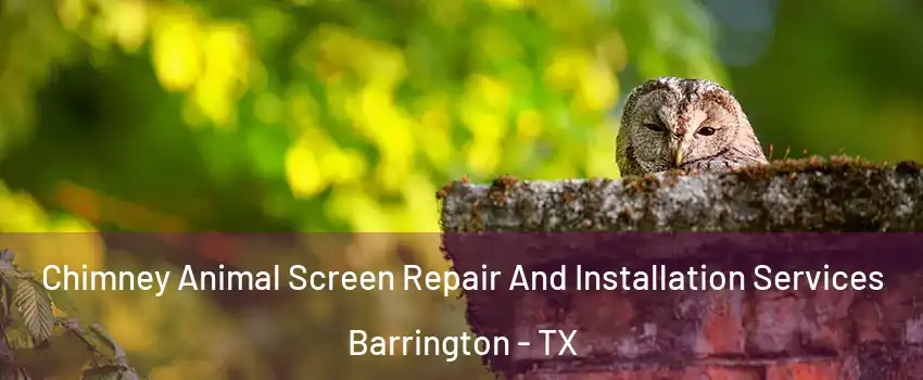 Chimney Animal Screen Repair And Installation Services Barrington - TX