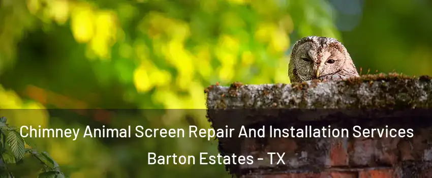 Chimney Animal Screen Repair And Installation Services Barton Estates - TX
