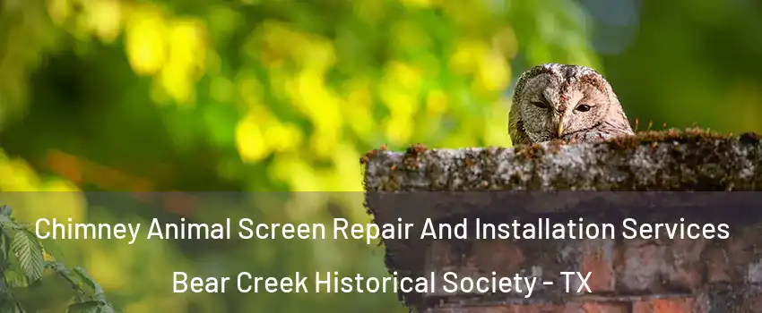 Chimney Animal Screen Repair And Installation Services Bear Creek Historical Society - TX