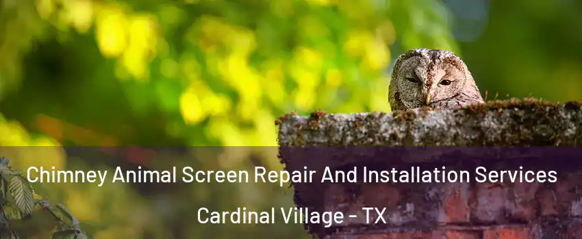 Chimney Animal Screen Repair And Installation Services Cardinal Village - TX