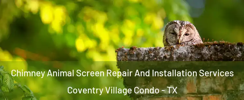 Chimney Animal Screen Repair And Installation Services Coventry Village Condo - TX