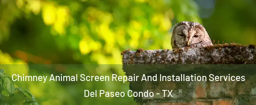Chimney Animal Screen Repair And Installation Services Del Paseo Condo - TX