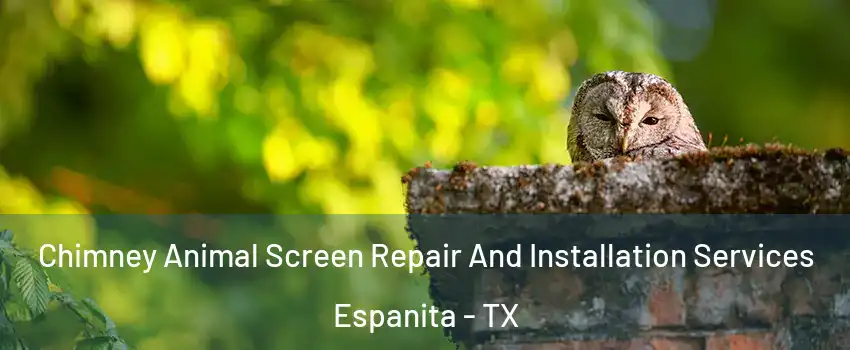 Chimney Animal Screen Repair And Installation Services Espanita - TX