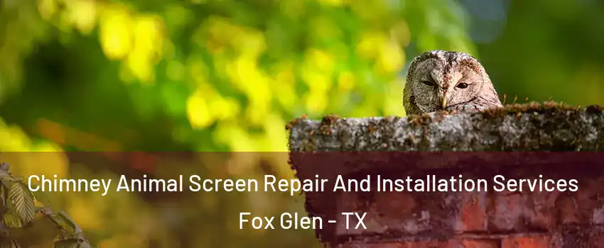 Chimney Animal Screen Repair And Installation Services Fox Glen - TX