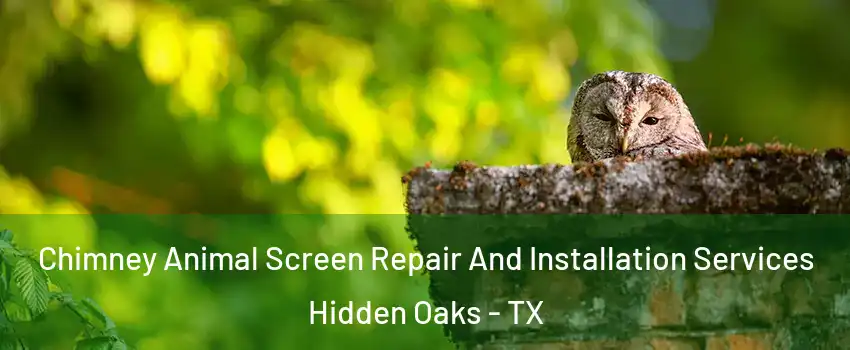 Chimney Animal Screen Repair And Installation Services Hidden Oaks - TX