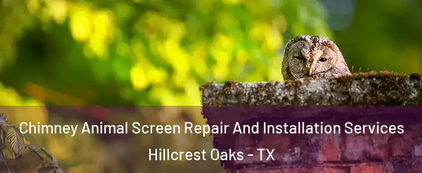 Chimney Animal Screen Repair And Installation Services Hillcrest Oaks - TX