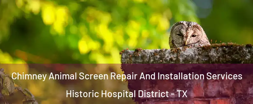 Chimney Animal Screen Repair And Installation Services Historic Hospital District - TX