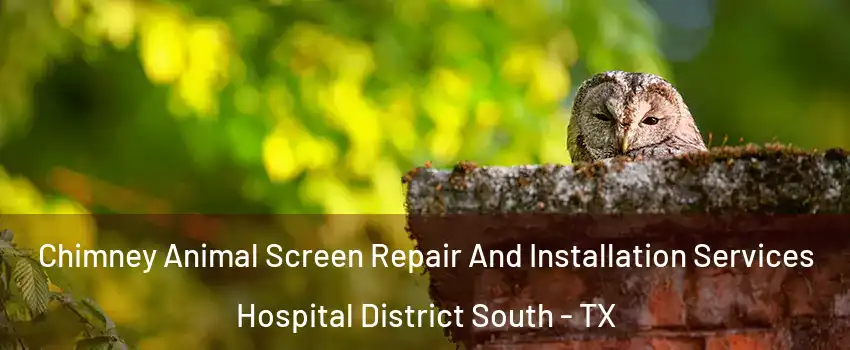Chimney Animal Screen Repair And Installation Services Hospital District South - TX