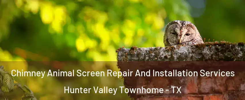 Chimney Animal Screen Repair And Installation Services Hunter Valley Townhome - TX