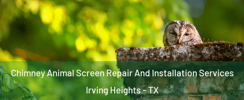 Chimney Animal Screen Repair And Installation Services Irving Heights - TX