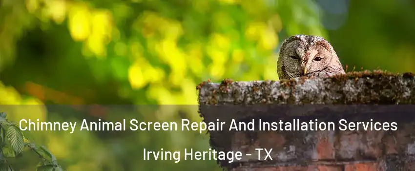 Chimney Animal Screen Repair And Installation Services Irving Heritage - TX