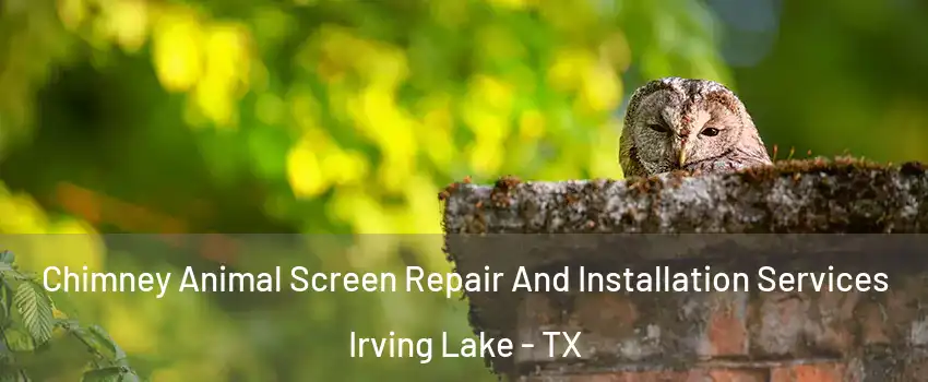 Chimney Animal Screen Repair And Installation Services Irving Lake - TX