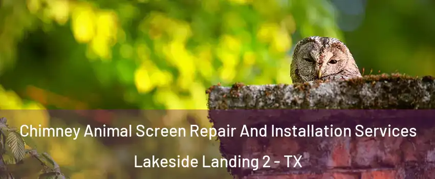 Chimney Animal Screen Repair And Installation Services Lakeside Landing 2 - TX