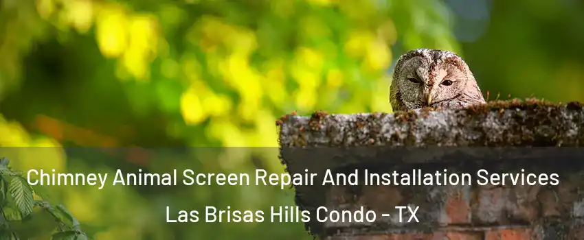 Chimney Animal Screen Repair And Installation Services Las Brisas Hills Condo - TX