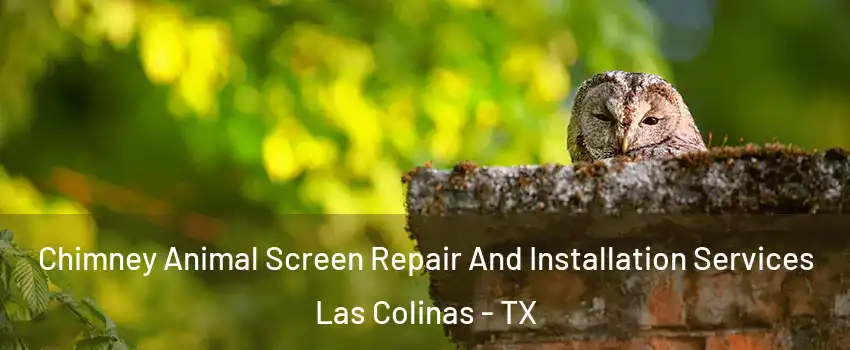 Chimney Animal Screen Repair And Installation Services Las Colinas - TX