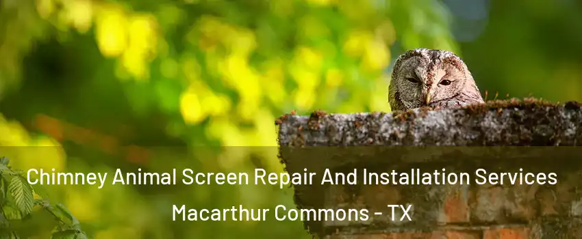 Chimney Animal Screen Repair And Installation Services Macarthur Commons - TX