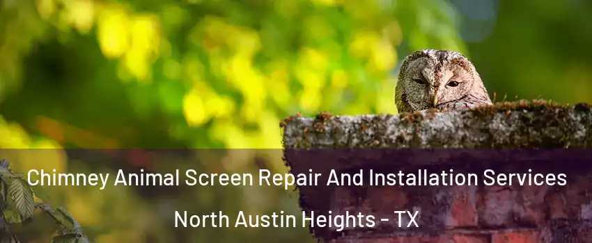 Chimney Animal Screen Repair And Installation Services North Austin Heights - TX